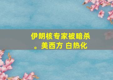 伊朗核专家被暗杀。美西方 白热化